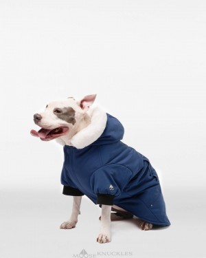 Moose Knuckles Pooch Parka Pet Damen Blau Weiß | 79465IARX