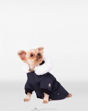 Moose Knuckles Pooch Parka Pet Damen Navy Weiß | 81309XBPH