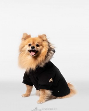 Moose Knuckles Pooch Parka Pet Damen Schwarz Gold | 36259UCMT