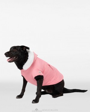 Moose Knuckles Pooch Parka Pet Damen Weiß | 83742UQWN