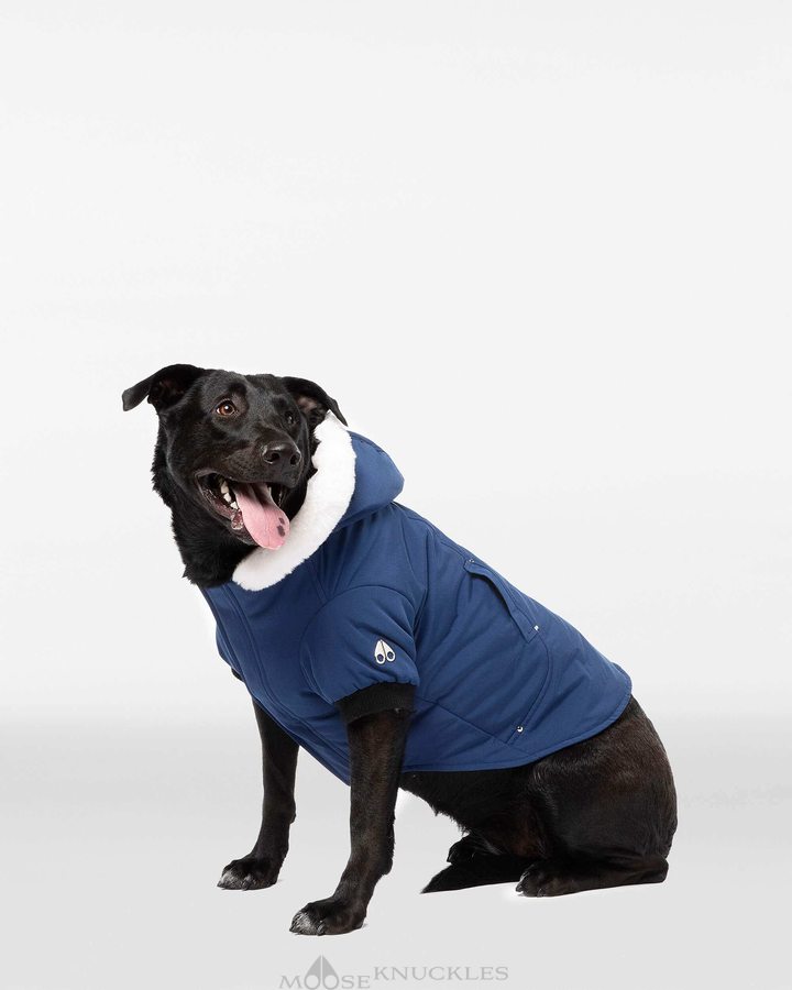 Moose Knuckles Pooch Parka Pet Damen Blau Weiß | 79465IARX