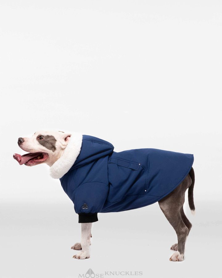 Moose Knuckles Pooch Parka Pet Damen Blau Weiß | 79465IARX