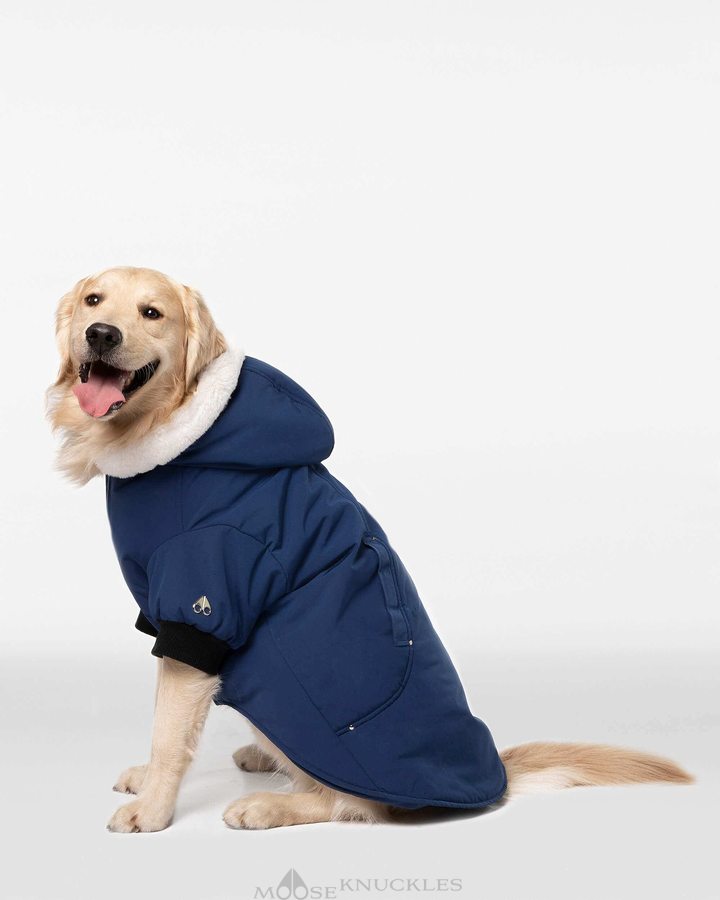 Moose Knuckles Pooch Parka Pet Damen Blau Weiß | 79465IARX