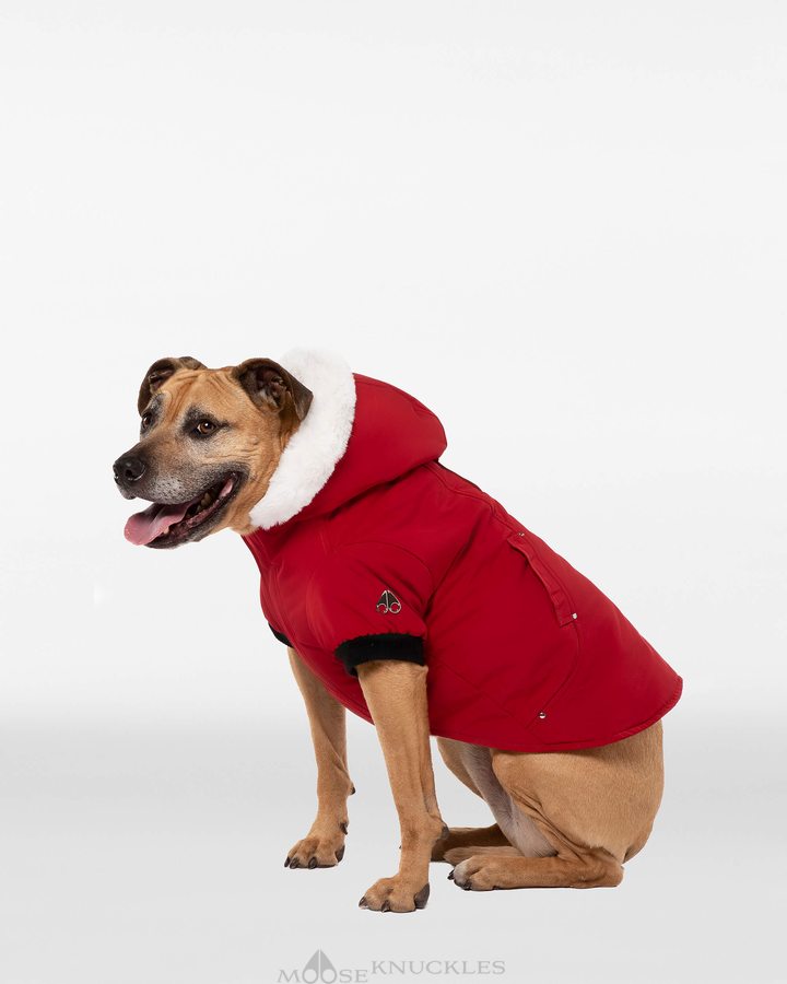 Moose Knuckles Pooch Parka Pet Damen Tiefesrot Weiß | 85934HVWO