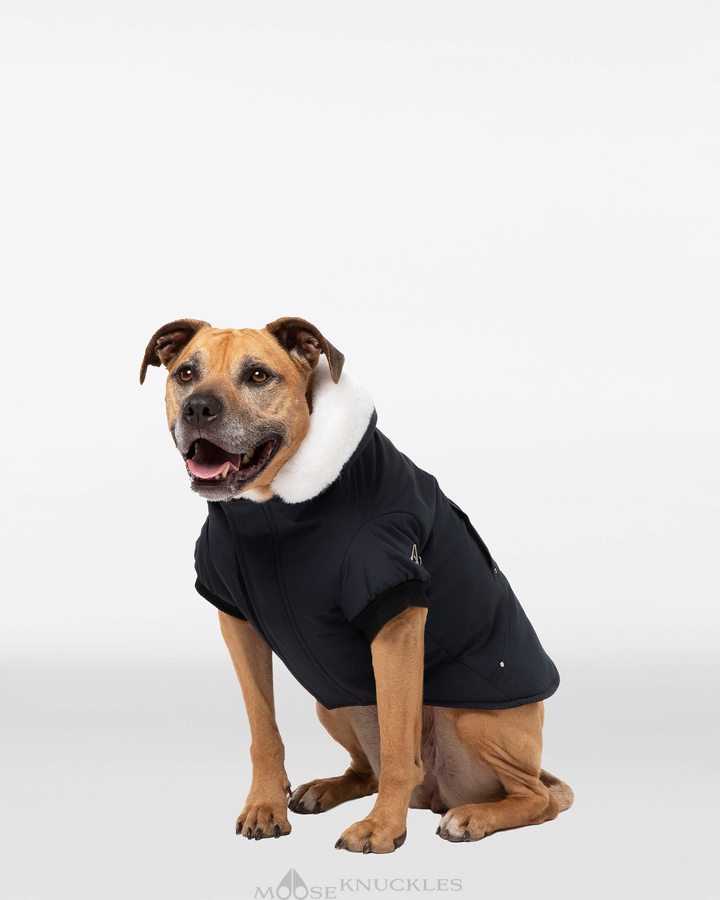 Moose Knuckles Pooch Parka Pet Herren Schwarz Weiß | 94368BXPR